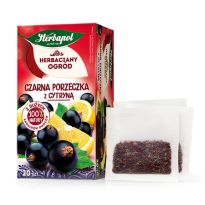 Herbata Herbapol porzeczka cytryna 20tb