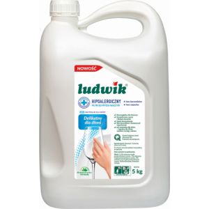 Płyn do naczyń Ludwik 5l hipoalergiczny