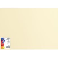 Brystol B1 70x100 Oxford 225g kremowy 25ark