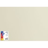 Brystol B1 70x100 Oxford 225g jasnoszary 25ark
