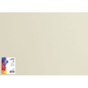 Brystol B1 70x100 Oxford 225g jasnoszary 25ark