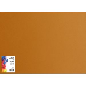 Brystol B1 70x100 Oxford 225g brązowy 25ark