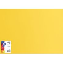 Brystol B1 70x100 Oxford 225g żółty 25ark