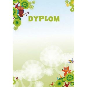 Dyplom Bajka 170g 25ark