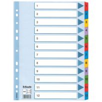 Przekładki Esselte A4 Mylar 1-12 kartonowe 100162
