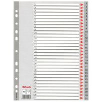 Przekładki Esselte A4 plastikowe 1-31 numeryczne 100108