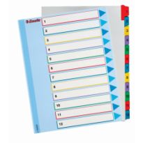Przekładki Esselte A4 1-12 Mylar kartonowe karta opisowa 100209