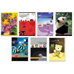 Brulion A6 80k kratka