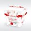 Raffaello 150g T15